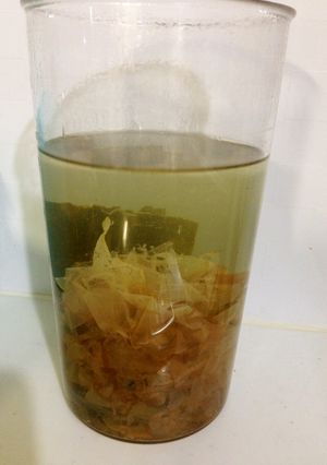 簡単　かつお昆布だし-レシピのメイン写真