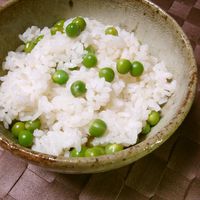 基本からアレンジまで！思わずつくりたくなる「豆ご飯 しわなし」の