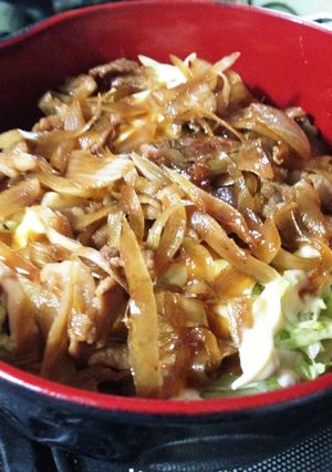 簡単★豚丼-レシピのメイン写真