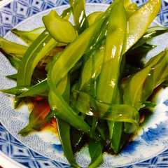 รูปของ 茎わかめポン酢