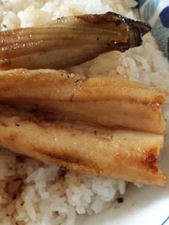 簡単 穴子丼-レシピのメイン写真