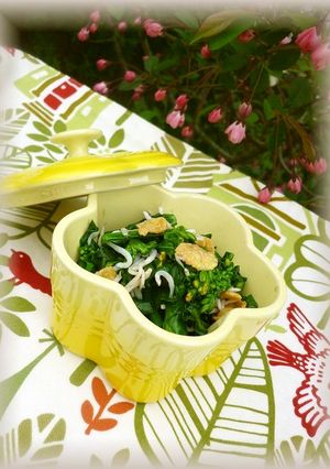 菜の花のしらすあえ❀-レシピのメイン写真