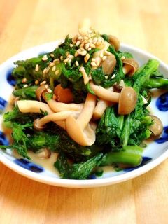 春菊としめじの練りごま和え-レシピのメイン写真