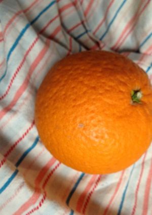 隠し味で美味しい夏みかんジュース-レシピのメイン写真