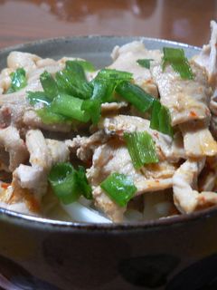 玉ねぎさんチ(=産地)の豚丼-レシピのメイン写真