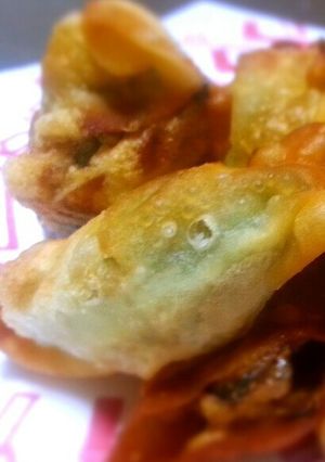昼野菜の包み揚げ-レシピのメイン写真