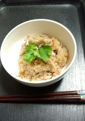 きのこと鶏肉炊き込み御飯-レシピのメイン写真