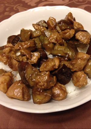 レミさんのナスと豚ブロック肉の丼-レシピのメイン写真