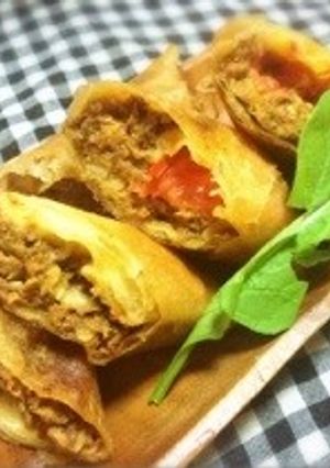 鯖缶deカレー春巻き-レシピのメイン写真