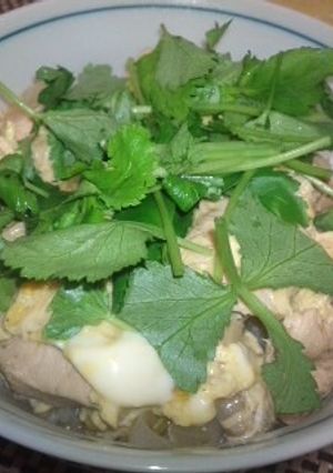トロトロ玉子の親子丼-レシピのメイン写真