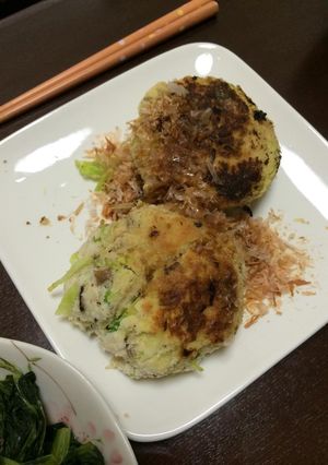 高野豆腐とおからのハンバーグ-レシピのメイン写真