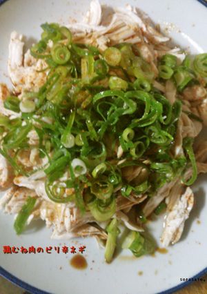鶏むね肉のピリ辛ネギ-レシピのメイン写真