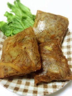 中華の一品☆春巻き-レシピのメイン写真