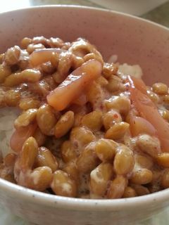 旨い!塩辛納豆ごはん-レシピのメイン写真