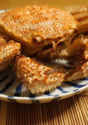 活毛蟹の美味しい茹で方～食べ方-レシピのメイン写真
