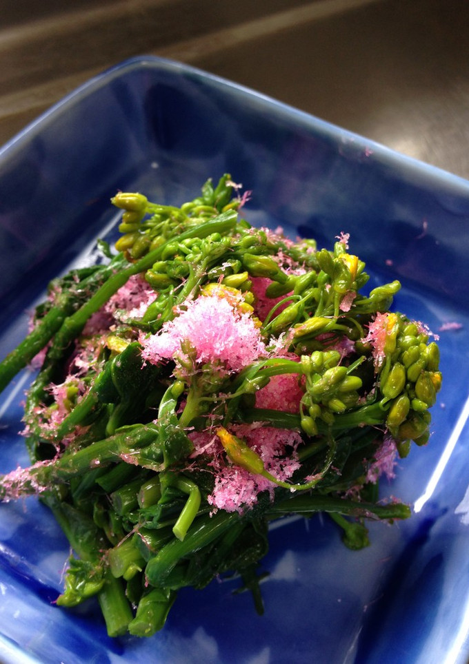 菜の花のでんぶ和え-レシピのメイン写真