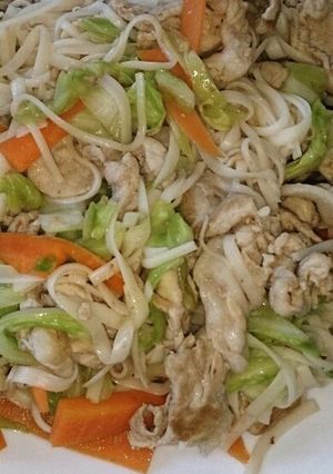 おからこんにゃく麺のビーフン炒め風♪-レシピのメイン写真