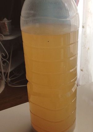 有機玄米のとぎ汁から作る乳酸菌★-レシピのメイン写真
