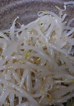 もやし ナムル-レシピのメイン写真