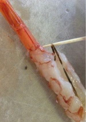 海老の下処理-レシピのメイン写真