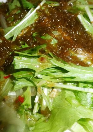 レタスと水菜ともずくのサラダ-レシピのメイン写真
