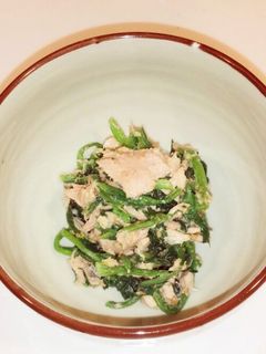 シーチキンとほうれん草のごまドレサラダ-レシピのメイン写真