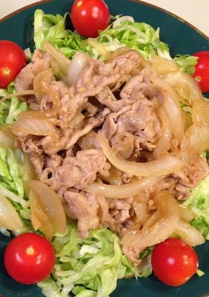 豚肉と玉ねぎのしょうが焼き♪-レシピのメイン写真
