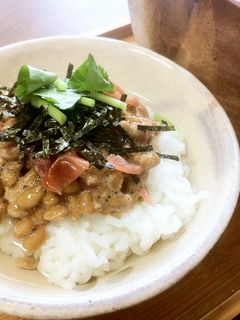 だし香る♪梅納豆茶漬け-レシピのメイン写真