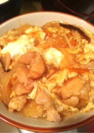シャキシャキ玉ねぎとトロ玉の親子丼-レシピのメイン写真