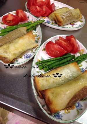 ✿余ったカレーで春巻き✿-レシピのメイン写真