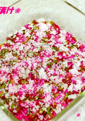 ❀桜の塩浸け❀春の香りを楽しみましょう❀-レシピのメイン写真