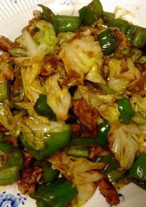 すぐ出来る！ご飯がすすむ回鍋肉-レシピのメイン写真