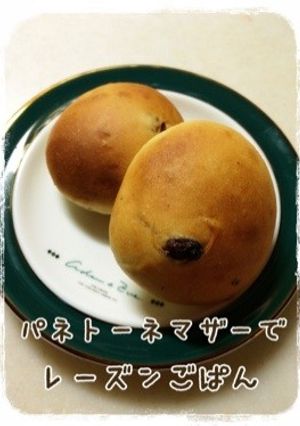 パネトーネマザーでレーズンごぱん-レシピのメイン写真
