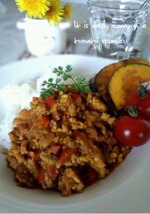 トマト・ソースdeスパイシーカレー♪-レシピのメイン写真