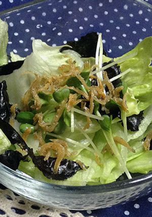 レタスと海苔のサラダ　カリカリじゃこのせ-レシピのメイン写真