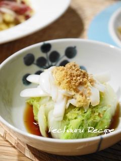 白菜とイカのゴマ生姜ポン酢浸し-レシピのメイン写真