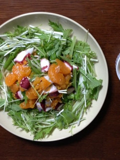 爽やかタコと水菜とグレープフルーツサラダ-レシピのメイン写真