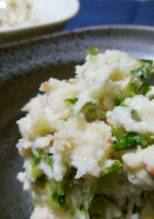 磯の香り♪青のりと新じゃがサラダ-レシピのメイン写真
