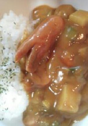 タコさんいたら当たりだよカレーライス-レシピのメイン写真