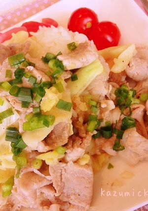 あっさり☆豚肉のネギ塩ごはん-レシピのメイン写真