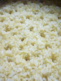 炊飯器で!玄米ご飯の炊き方-レシピのメイン写真