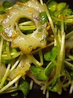 金ごま貝割れ大根ちくわ中華サラダ-レシピのメイン写真