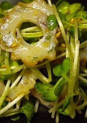 金ごま貝割れ大根ちくわ中華サラダ-レシピのメイン写真