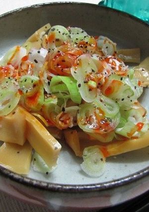 ねぎラー油メンマ-レシピのメイン写真
