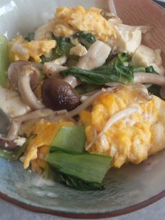 ☆チンゲン菜と豆腐としめじの玉子炒め☆-レシピのメイン写真