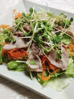 豚しゃぶサラダ-レシピのメイン写真