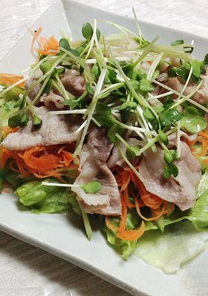 豚しゃぶサラダ-レシピのメイン写真