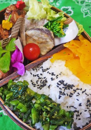 菜の花の塩麹漬物で五感のお弁当-レシピのメイン写真