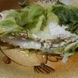 ボリュームたっぷり白菜の重ね煮