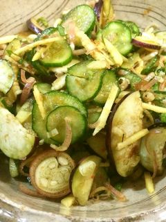 美味しい夏野菜の即席漬(サラダ?)-レシピのメイン写真